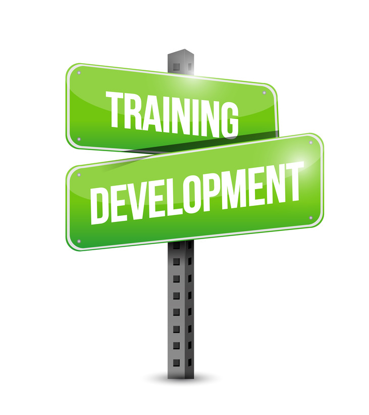 training development 